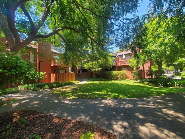 Building Photo - 1717 Novato Blvd