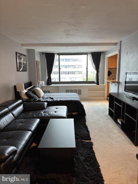 Building Photo - 1021 Arlington Blvd Unit 810