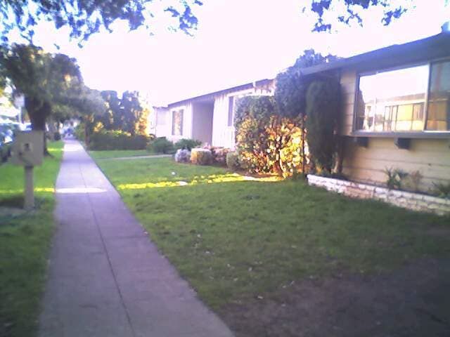Front Lawn - 1123 Starbird Cir Unit 3