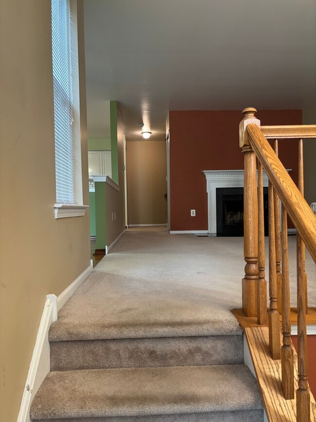 Photo - 637 Muhlenberg Dr