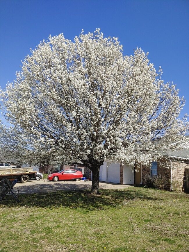 Photo - 204 Killdeer Dr Unit 204
