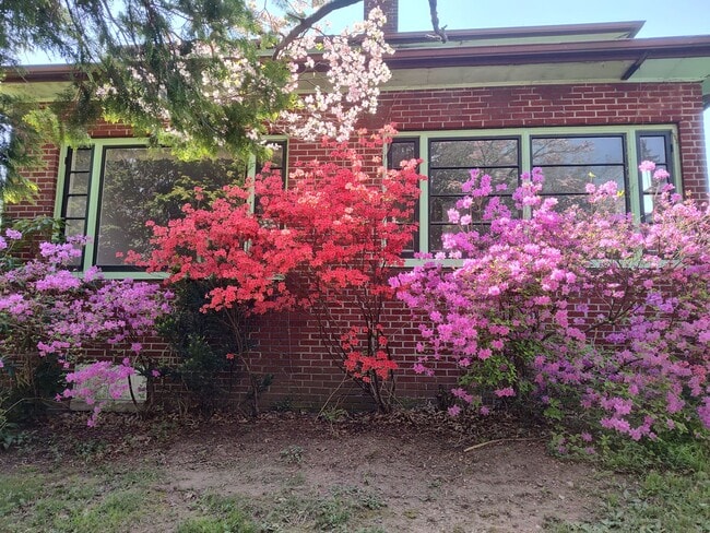 Photo - 470 Maple St