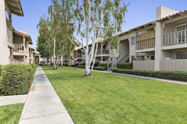 Photo - The Franciscan