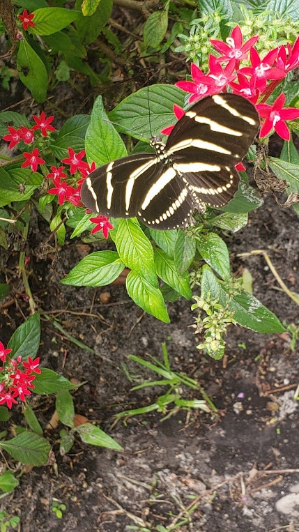 Photo - 486 Pinewood St