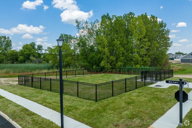 Dog Park