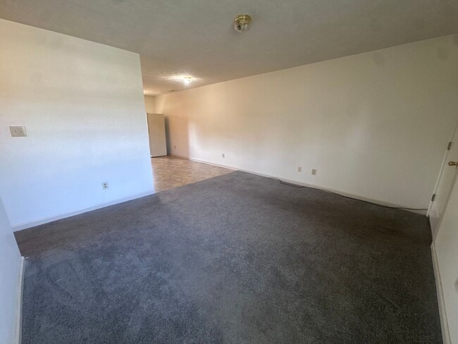 Photo - 143 Centipede Ln