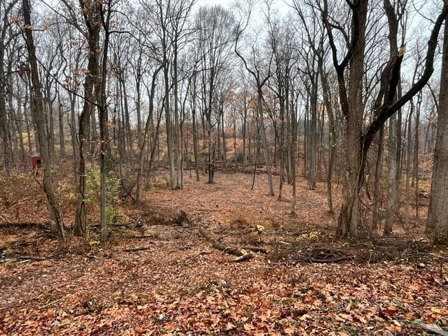 Photo - 170 Maryhill Rd