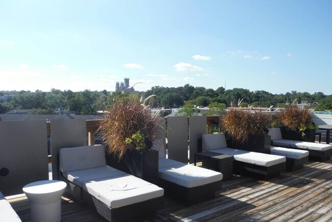 Rooftop Deck