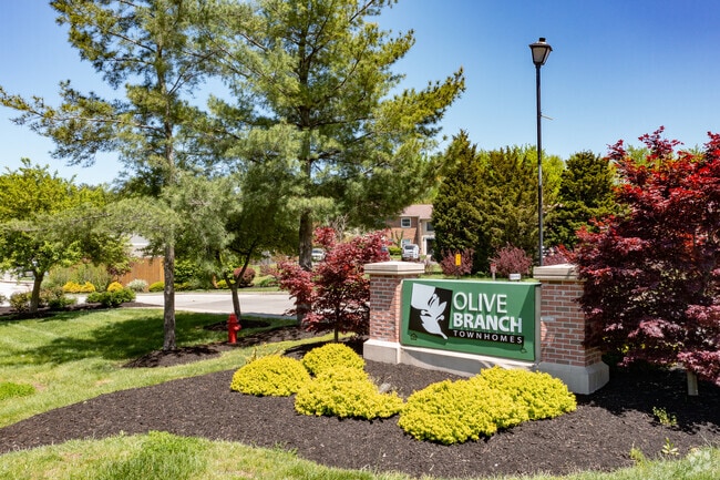 Olive Branch Townhomes