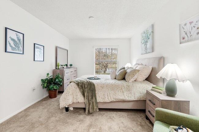 Bella Vista Apartments