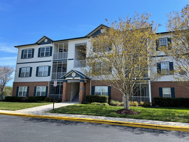 Building Photo - Village of 5 Points Condo- where you can w... Unit 4303