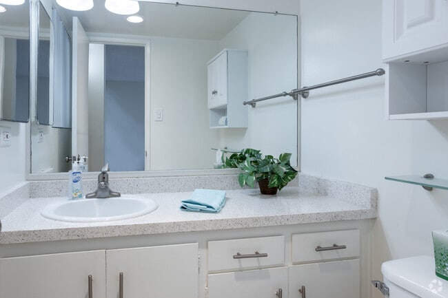 2BR, 1.5BA - 910 SF