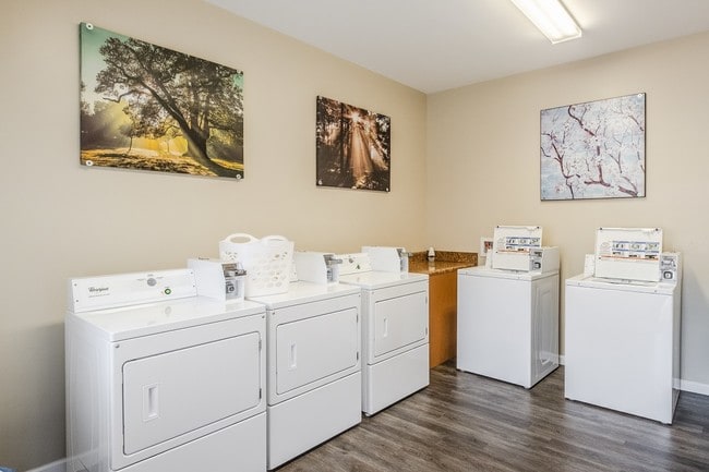Forest View Apartments