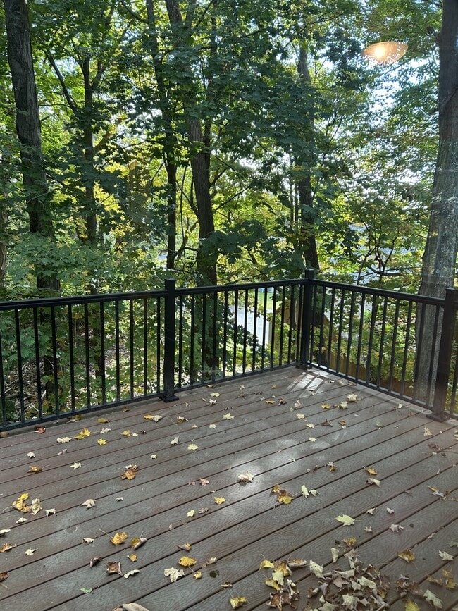 View from Living Room Deck - Hawthorne Village