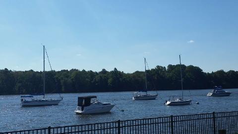 Vista al río - Delaview Apartments