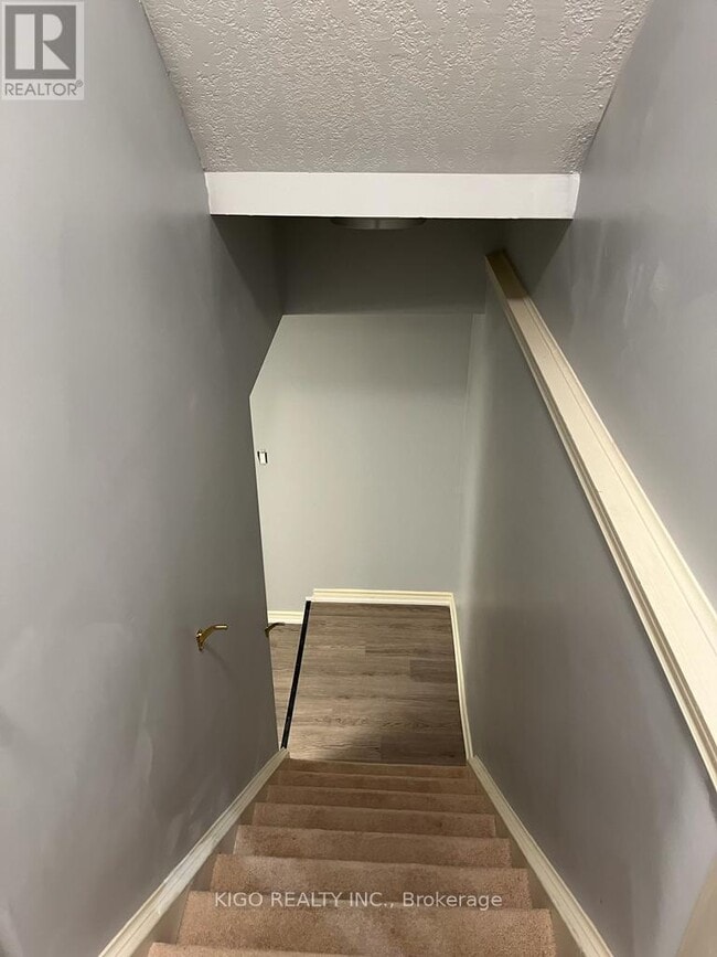 Photo - 19 Sophia Crescent