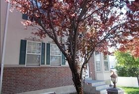 Photo - 1045 N 130 W