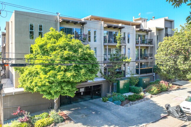 Primary - 425 Orange St