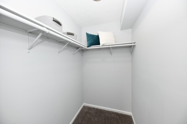 Walk In Closet - Ventana