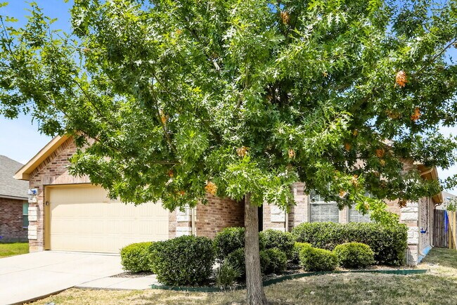 Photo - 529 Indian Paintbrush