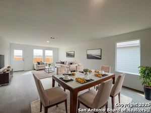 Photo - 1846 Musk Rose