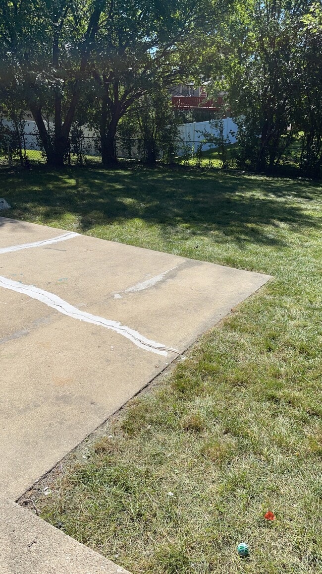 Backyard - 3421 Birchwood Dr