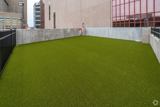 Pet Play Area