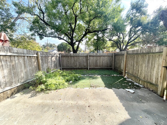 Photo - Tramor At The Quest