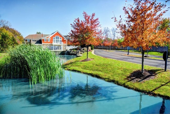 Austin Springs Luxury Apartments - Austin Springs