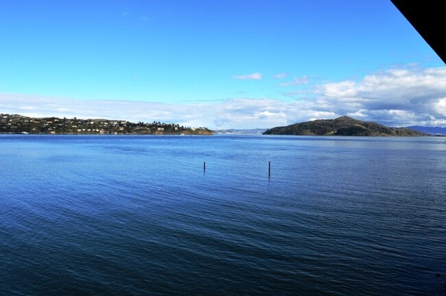 Building Photo - Studio with a Stunning Water View! Unit 303 Rental