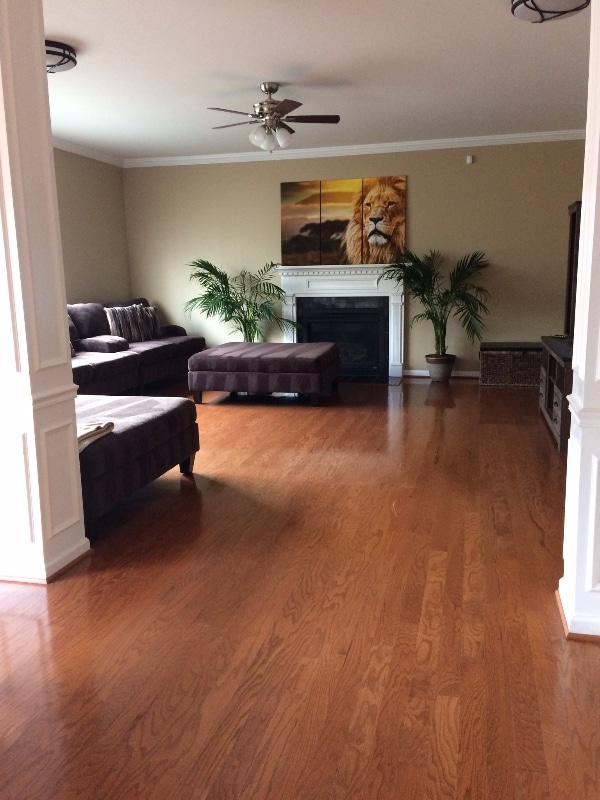 Photo - 1416 Beech Hollow Ct