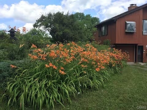 Photo - 5251 Irish Ridge Rd