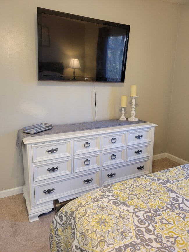 Huge Master BR with enormous walk in closet. You bring TV logins to stream using wifi - 435 Haltiwanger Rd Unit 3