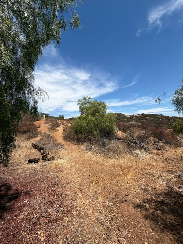 Photo - 35600 Mitchell Rd