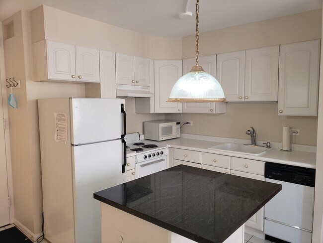 Photo - 100 E Walton St Unit 24C