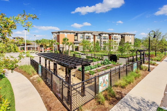 Jardín comunitario
