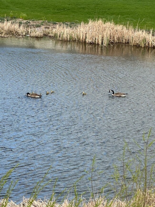 Photo - 2 Bedroom, 2 Bathroom Lower Available