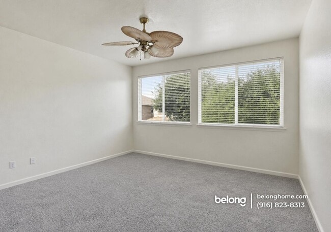 Photo - 131 Cognac Cir