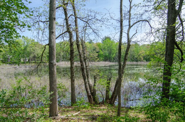 Photo - 219 Arcadia Dr