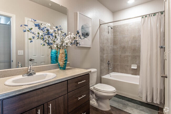 1 BR, 1 BA - 719 SF - A1