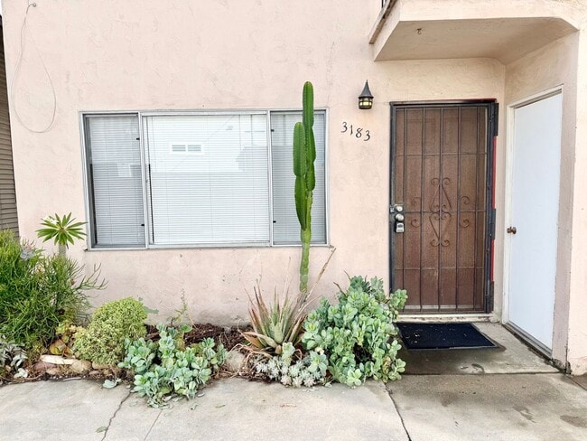 Building Photo - Charming Two Bed in North Park