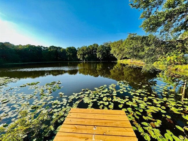 Photo - 1610 Palm Leaf Dr