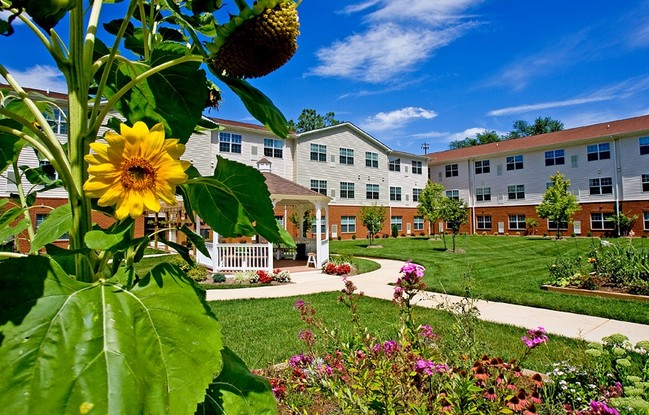 Moffett Manor Senior Apartments - Moffett Manor Senior Apartments