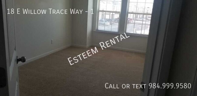 Photo - 18 E Willow Trace Way