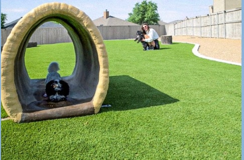 Dog Park