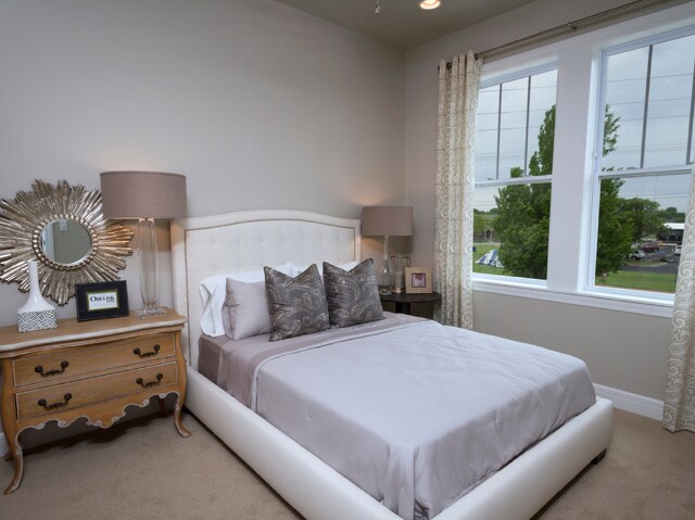 Bedroom with Large Windows