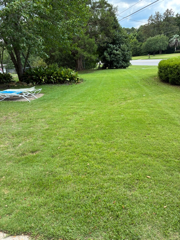 Photo - 2131 E Cottonwood Rd