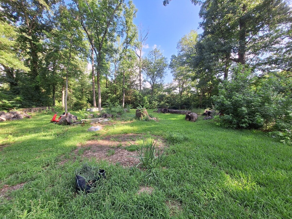 Photo - 1508 E Lantrip St