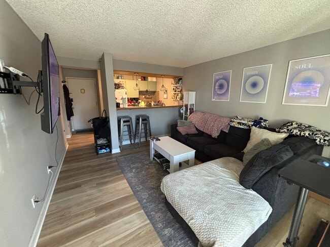 Living Room - 2707 Valmont Rd Unit 209A