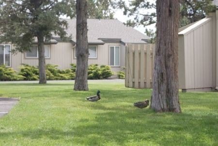 Photo - 155 NE Craven Rd Unit M-13
